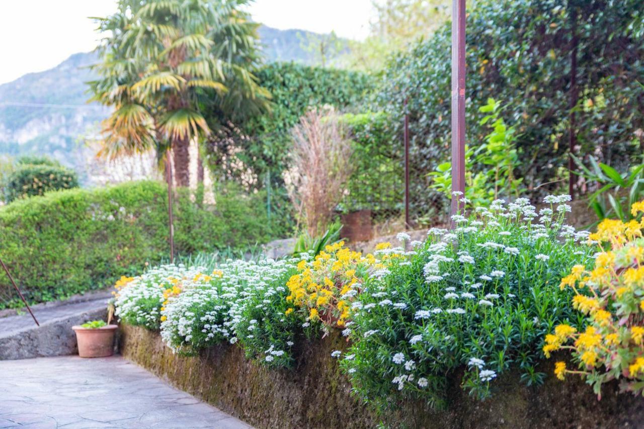 Casa Giulia Villa Lierna Eksteriør billede